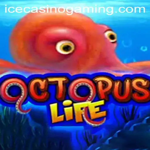 Diving into OctopusLife and ICECasino: A Thrilling Experience